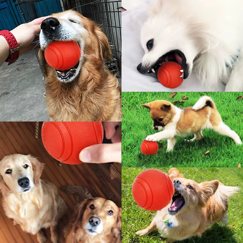 Dog Toy Rubber Ball Bite-Resistant Ball Toy for Dogs Puppy Teddy Pitbull Red Color Solid Ball S-XL Pet Supplies